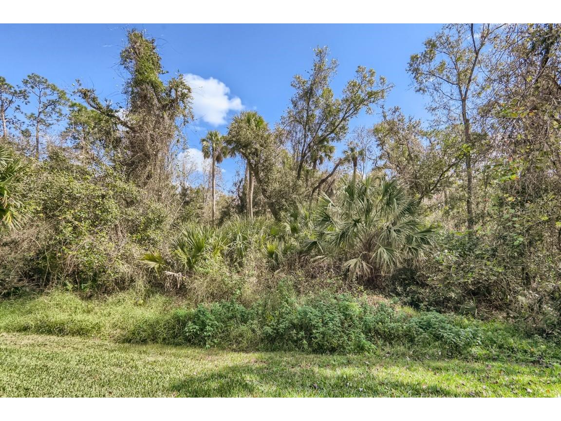 8344 Riverdale Lane Davenport FL 33896 O6356877 image12