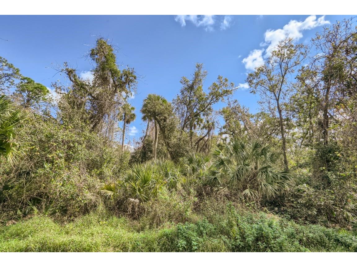 8344 Riverdale Lane Davenport FL 33896 O6356877 image54