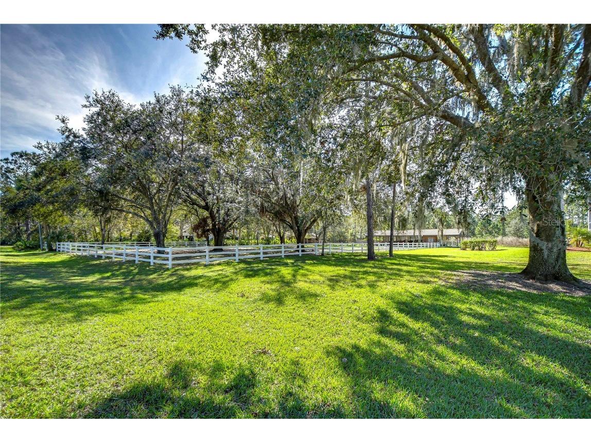 8345 Shenandoah Run Wesley Chapel FL 33544 TB8436749 image45