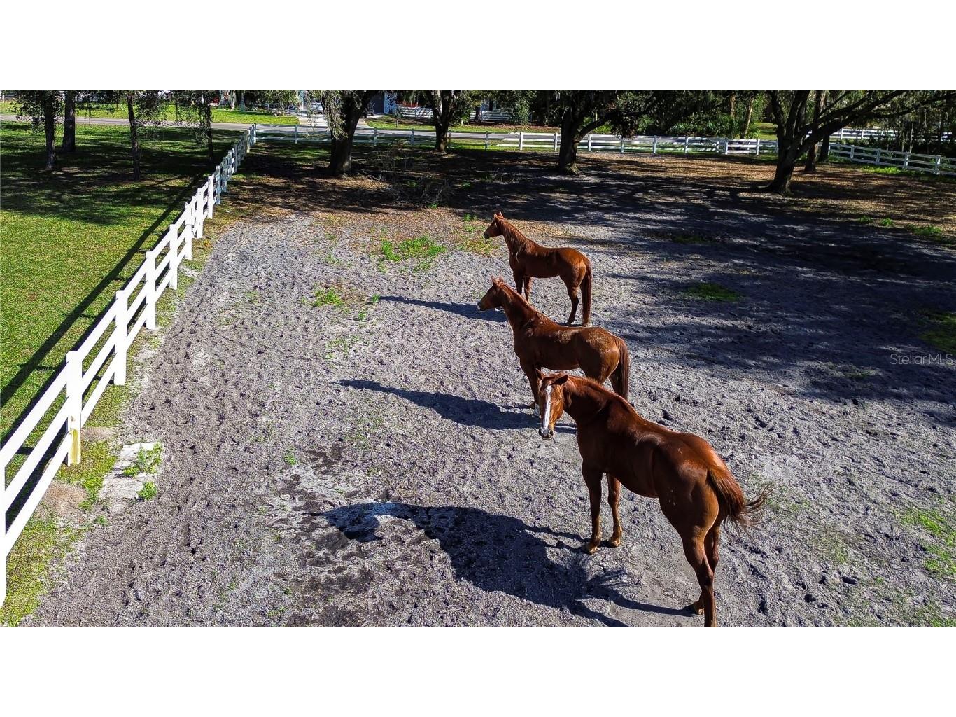 8345 Shenandoah Run Wesley Chapel FL 33544 TB8436749 image46