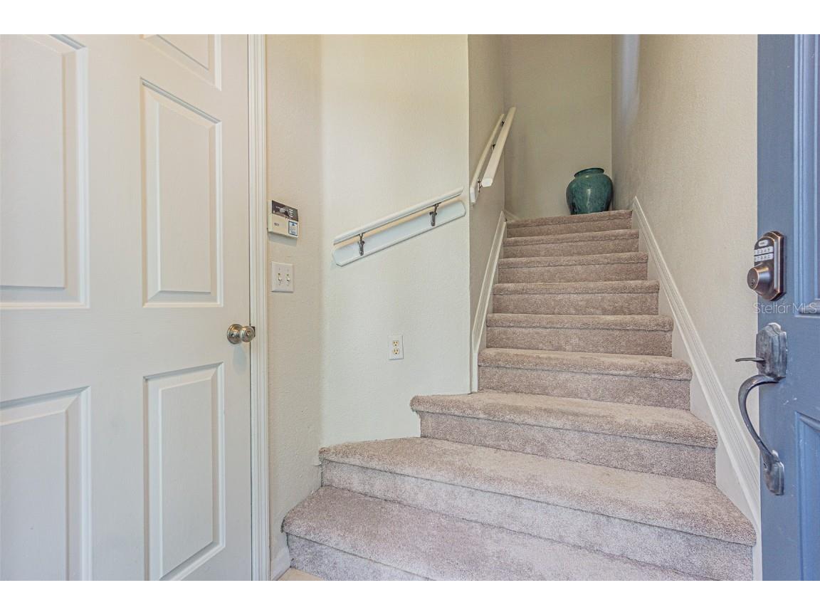 8346 Shallow Creek Court New Port Richey FL 34653 TB8413683 image24