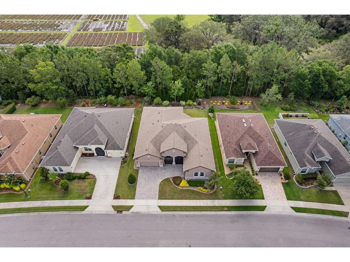 8348 Bridgeport Bay Circle Mount Dora FL 32757 O6328646 image8