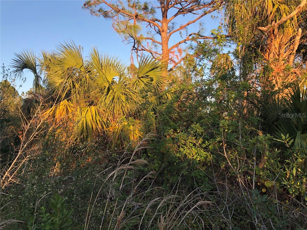 8348 Sweden Boulevard Punta Gorda FL 33982 C7470077 image1