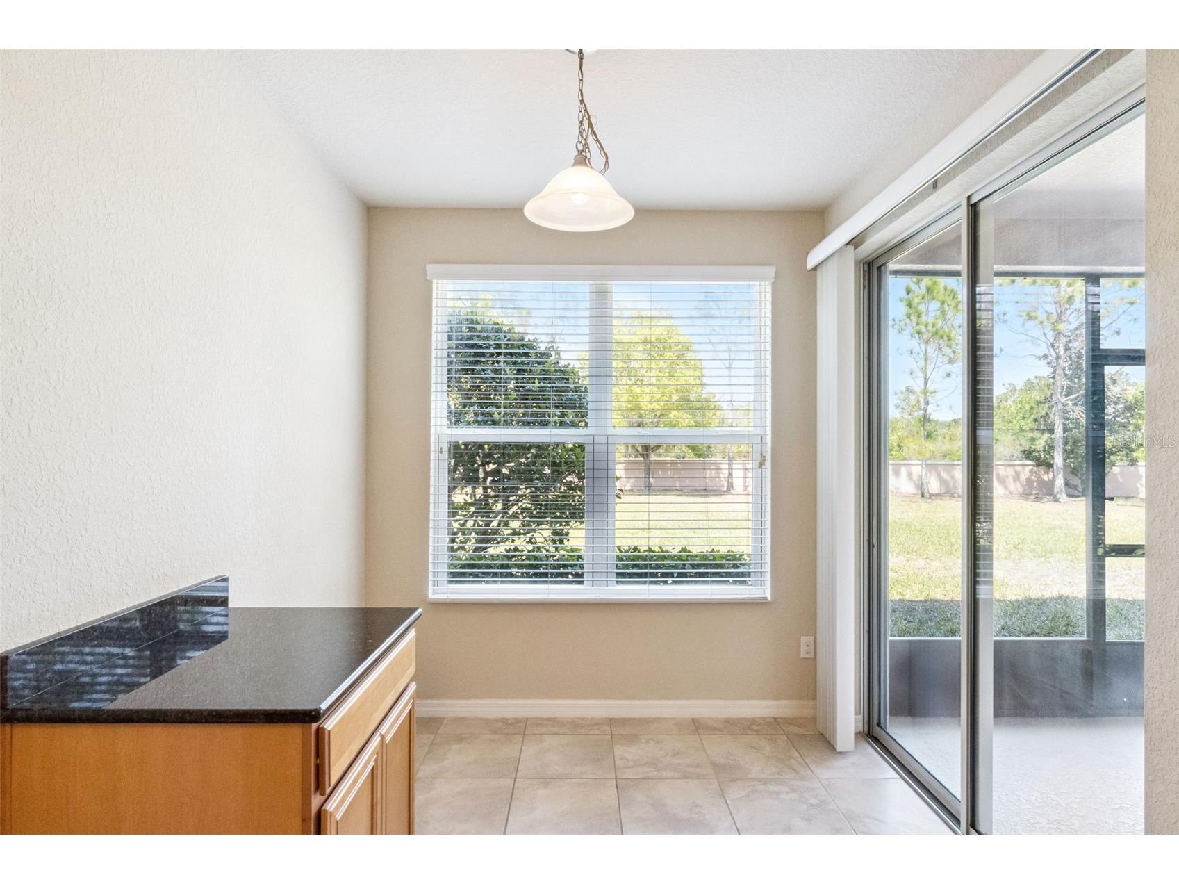 8349 Bella Tierra Court Davenport FL 33896 S5146482 image7