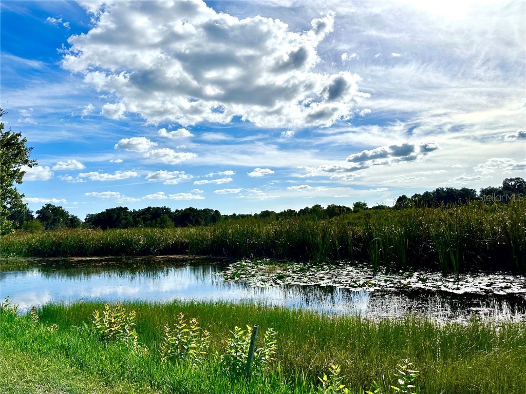 8349 E Turner Camp Road Inverness FL 34453 T3470067 image1