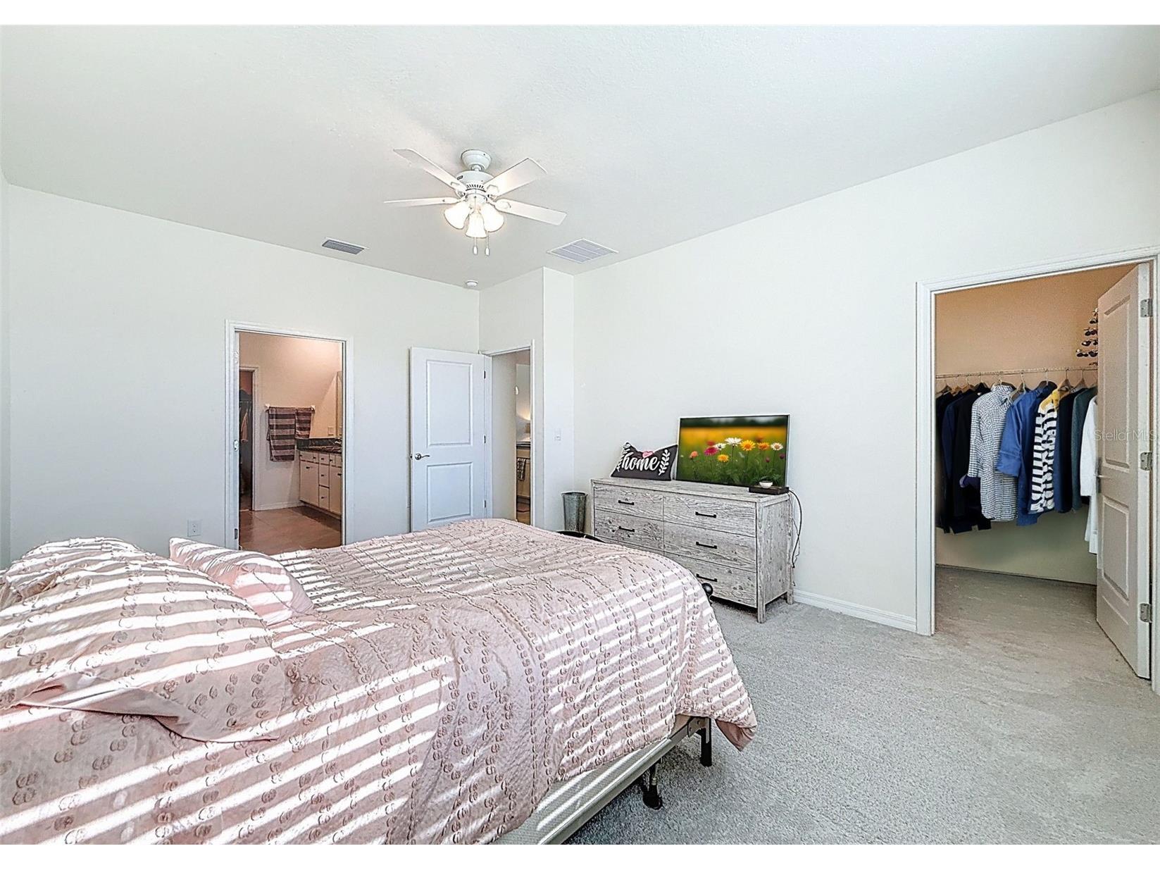 8349 Wheat Stone Drive Zephyrhills FL 33540 TB8438600 image22