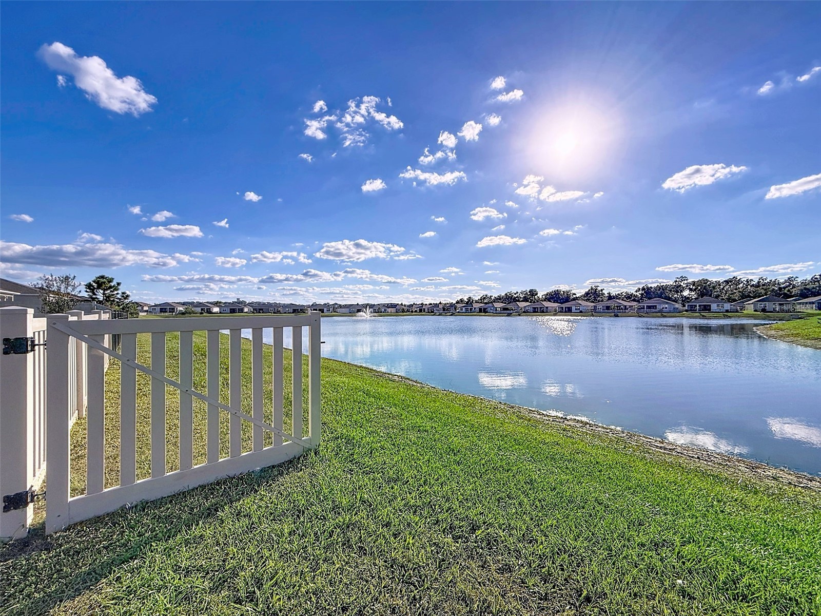 8349 Wheat Stone Drive Zephyrhills FL 33540 TB8438600 image41