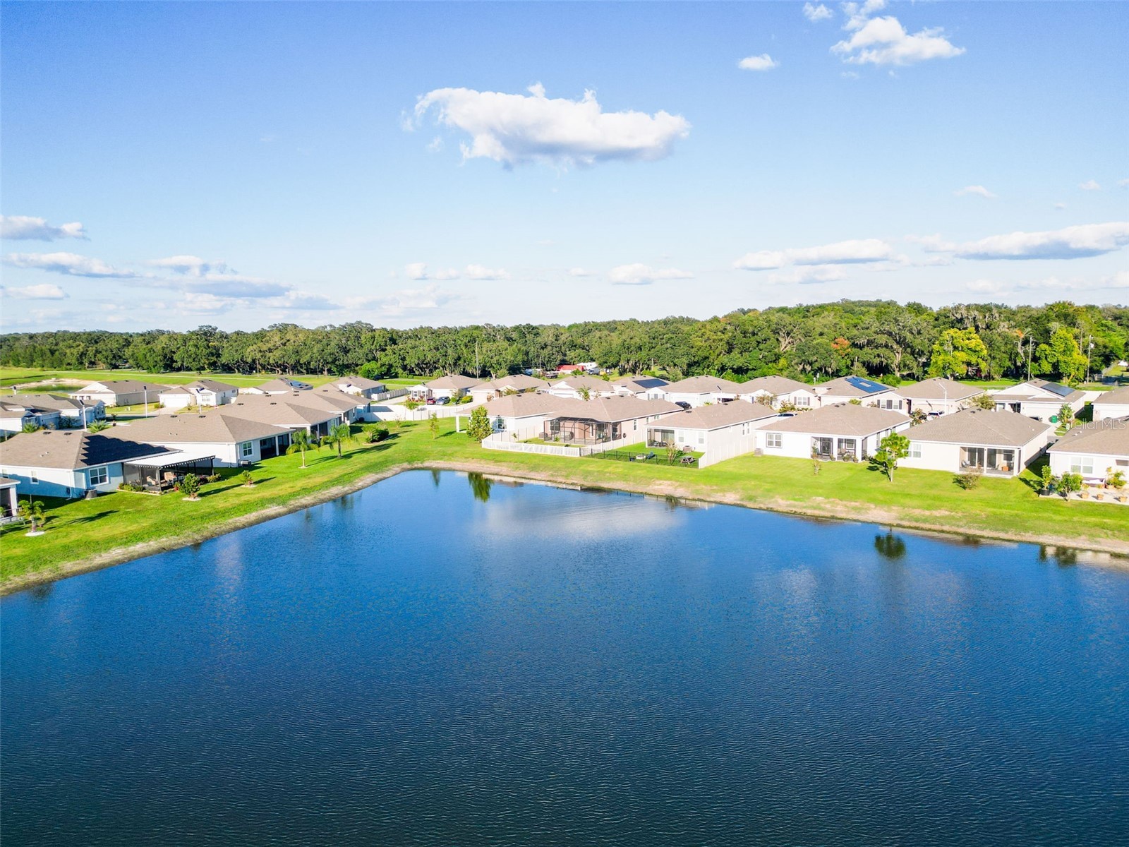 8349 Wheat Stone Drive Zephyrhills FL 33540 TB8438600 image55