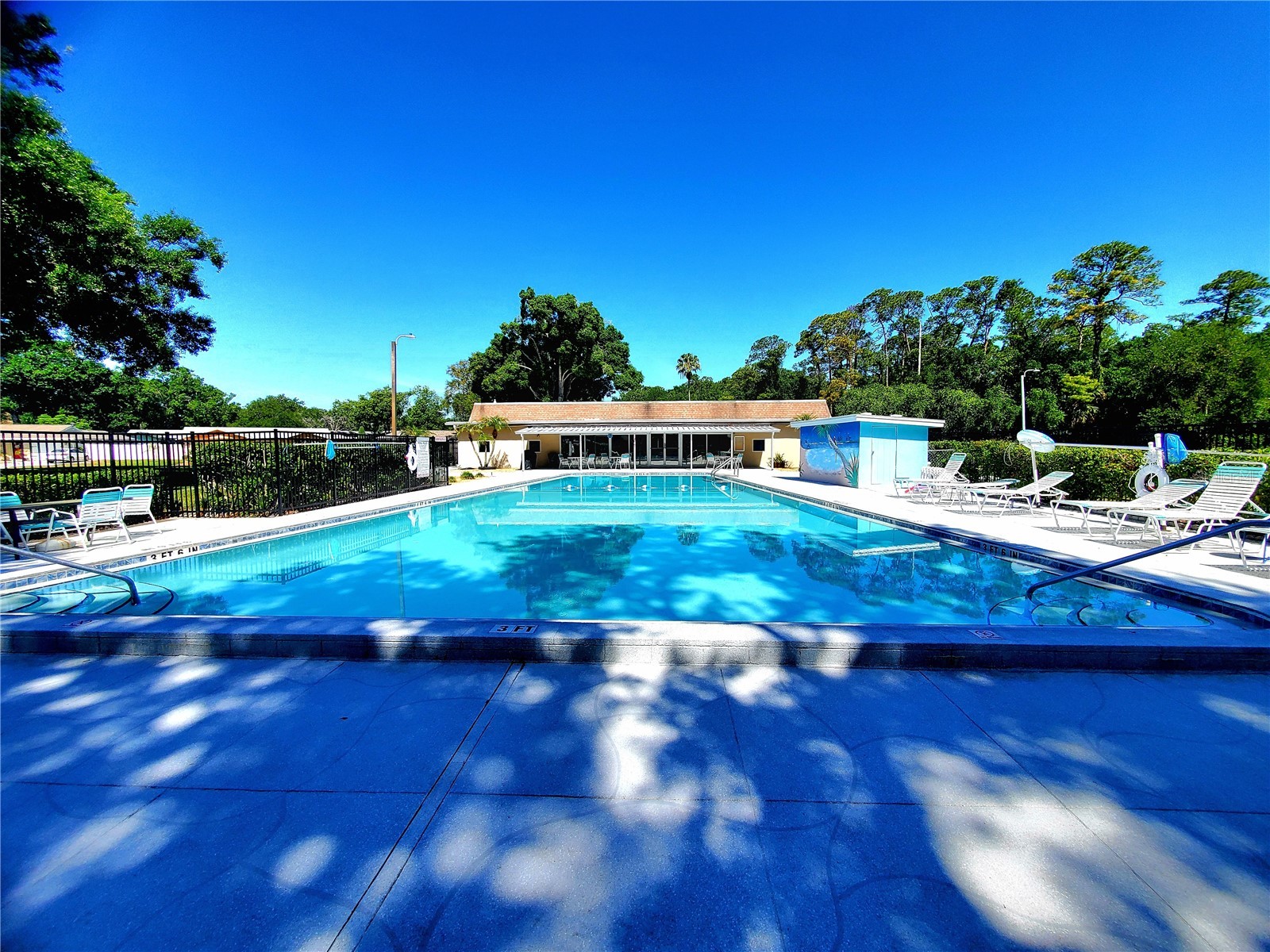 835 Anchorage Lane Palm Harbor FL 34685 TB8492576 image52