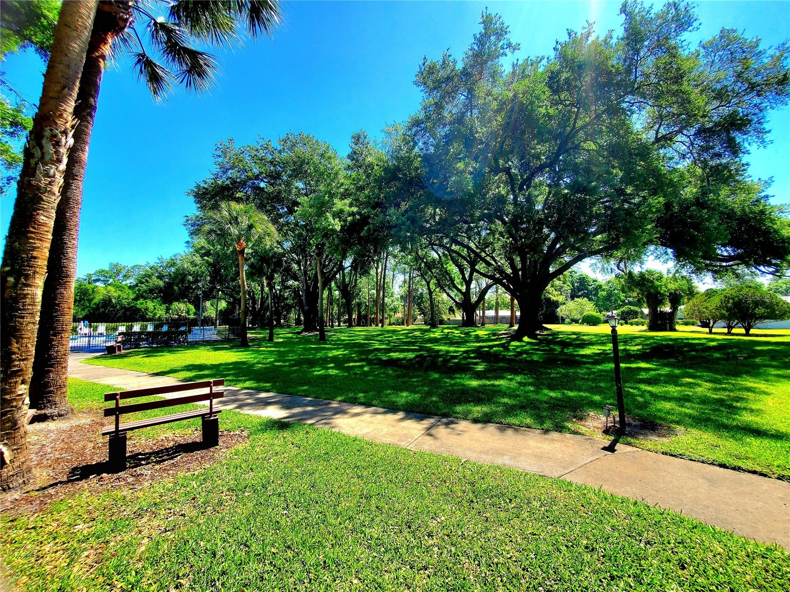 835 Anchorage Lane Palm Harbor FL 34685 TB8492576 image56