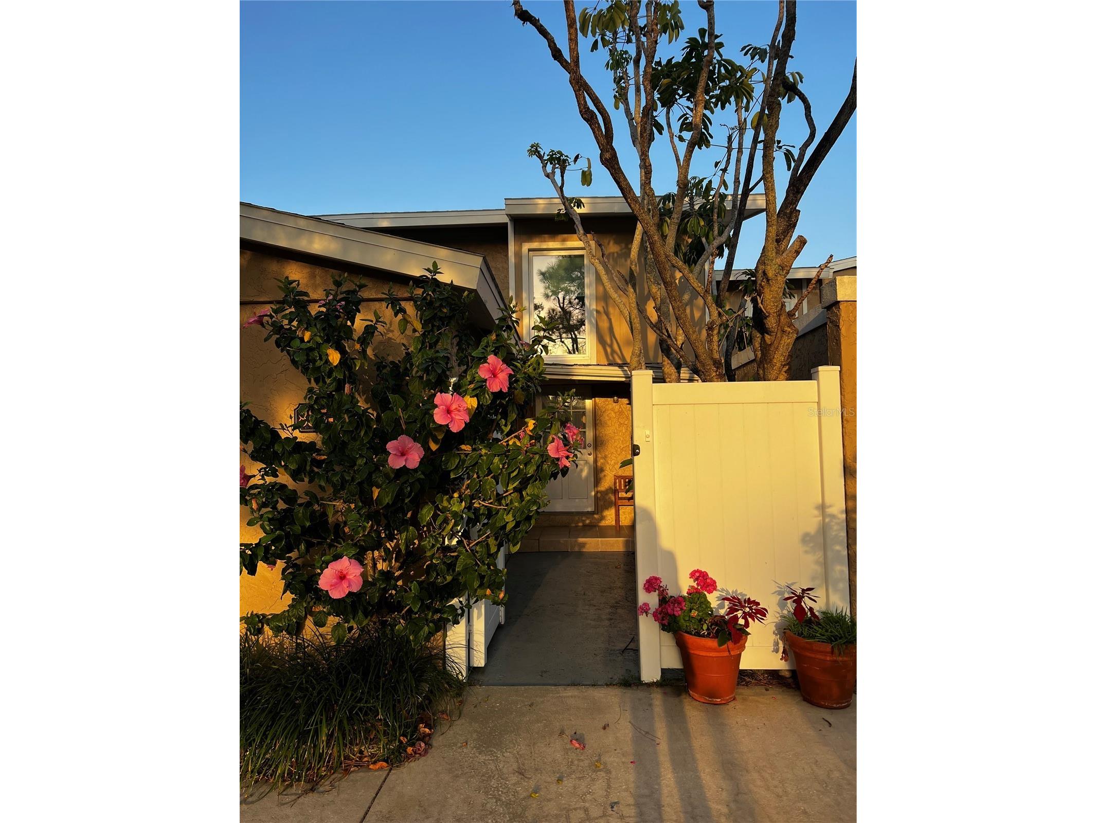 835 E Gulf Boulevard #101 Indian Rocks Beach FL 33785 TB8452218 image26