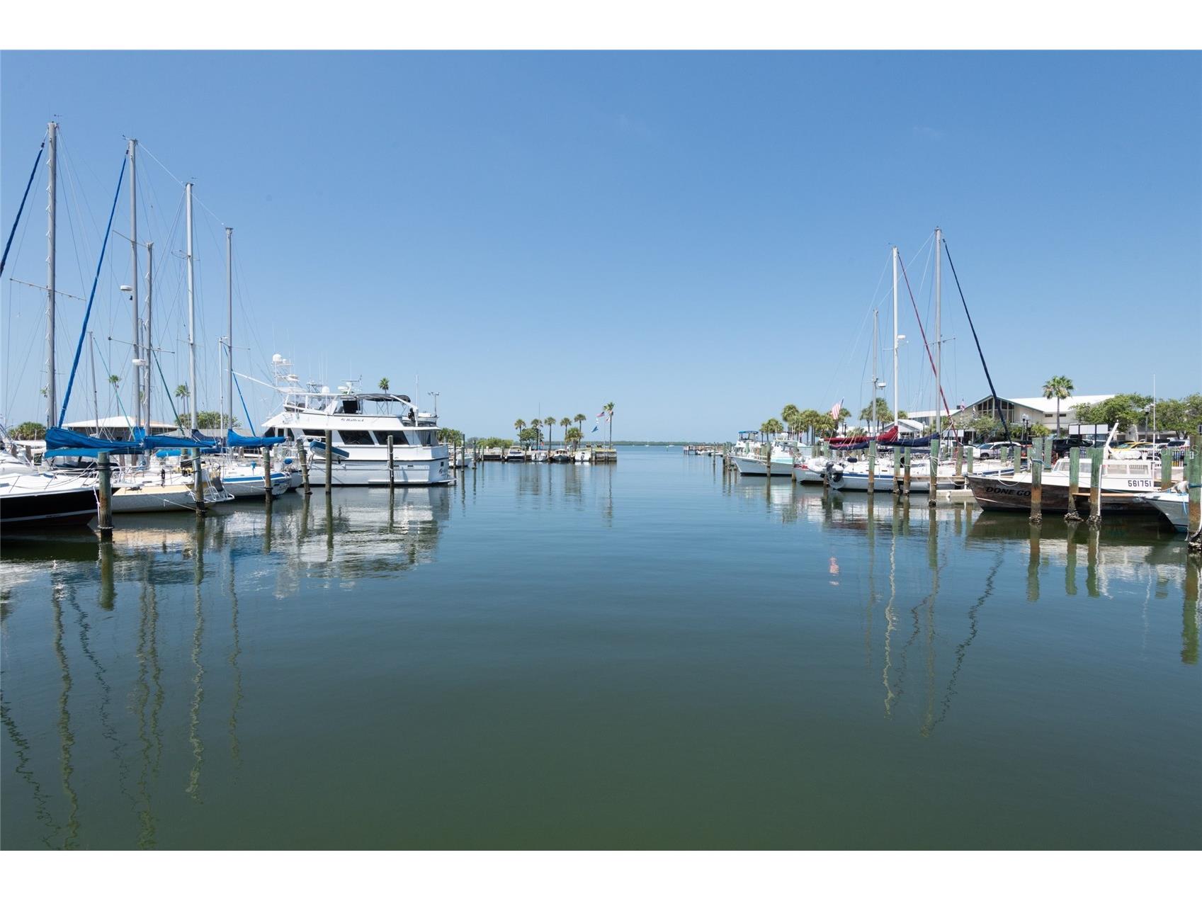 835 Oak Bend Lane Dunedin FL 34698 TB8461776 image28