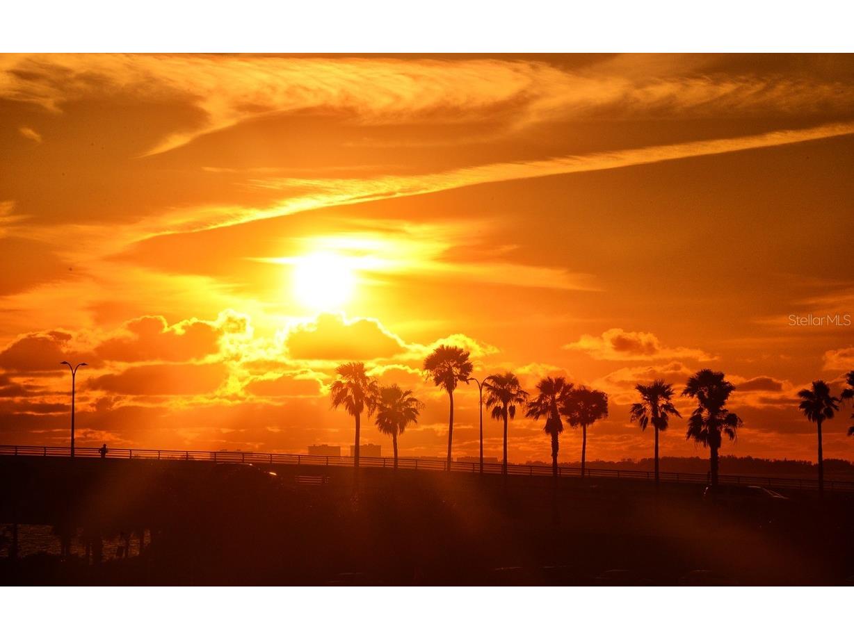 835 S Osprey Avenue #201 Sarasota FL 34236 A4676244 image80