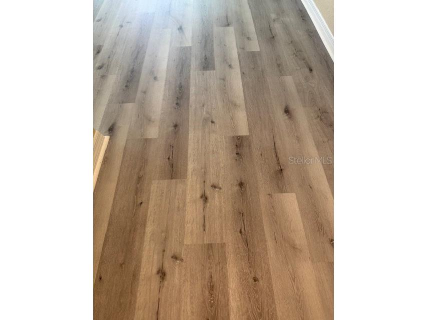 8350 Bella Tierra Court #8350 Davenport FL 33896 O6387679 image5