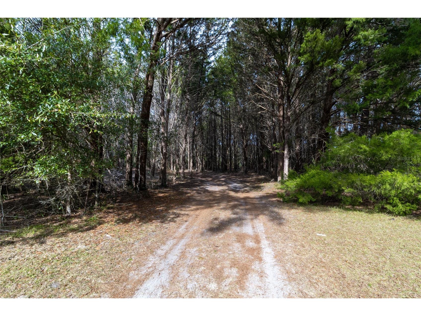 8350 NW 77th Place Chiefland FL 32626 GC536330 image7