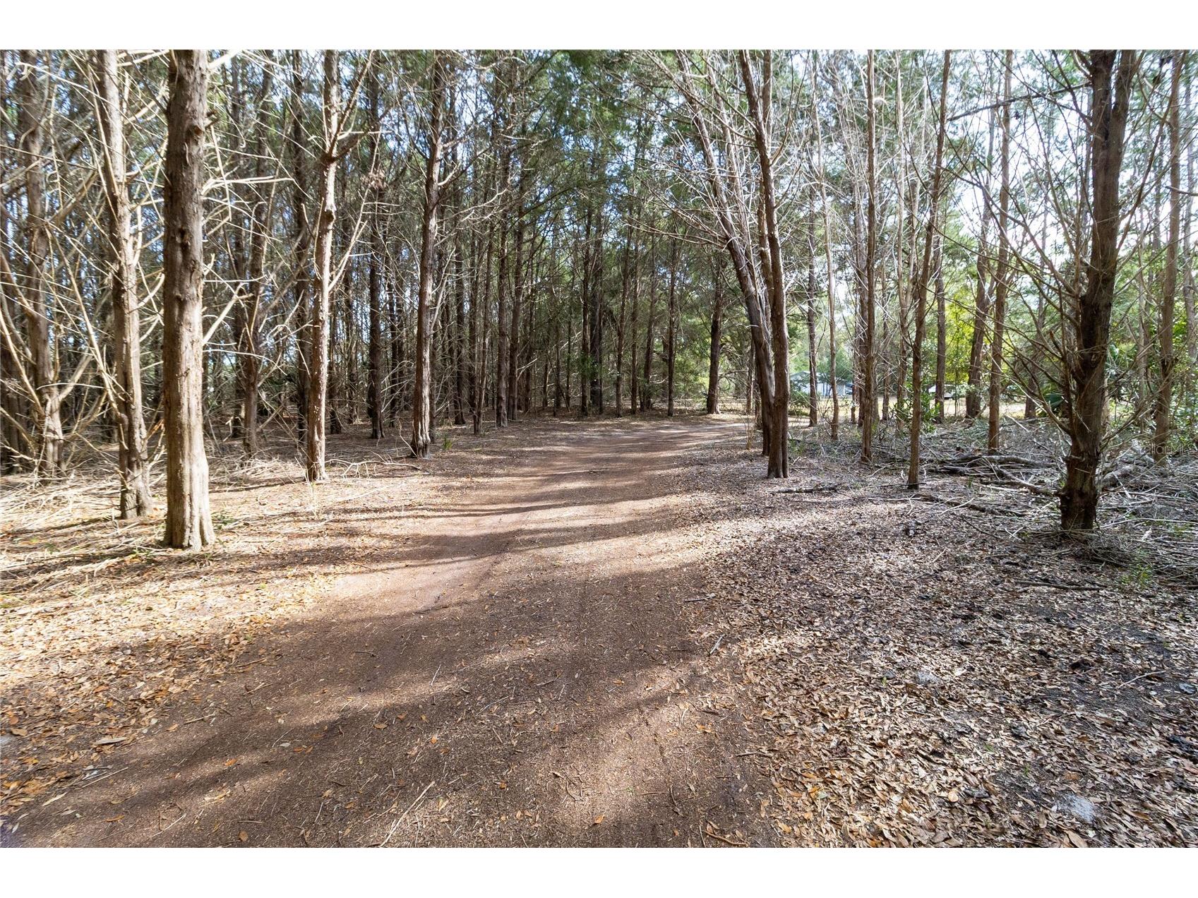 8350 NW 77th Place Chiefland FL 32626 GC536330 image9