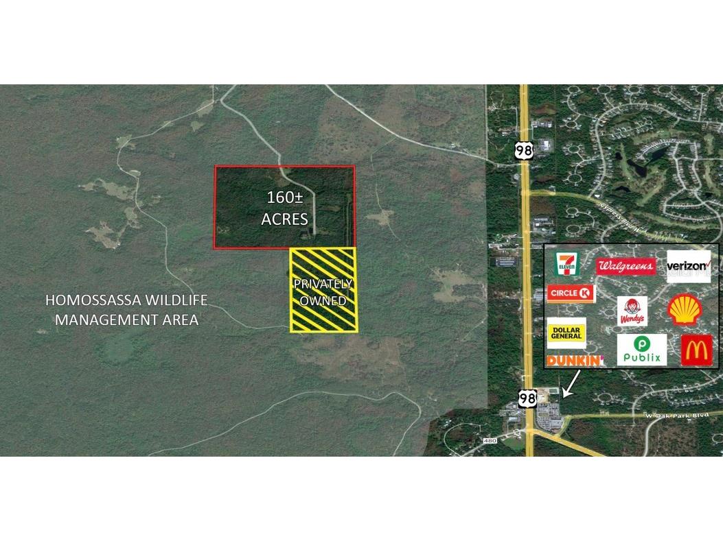 8350 S Mclaughlin Trail Homosassa FL 34448 T3449136 image1