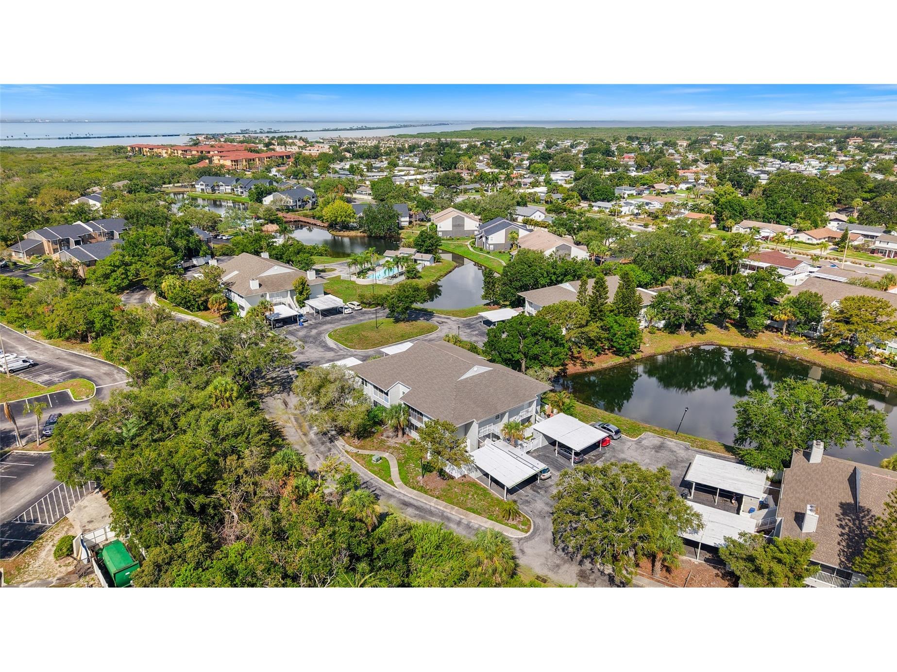 8350 Savannah Trace Circle #1703 Tampa FL 33615 TB8528850 image2