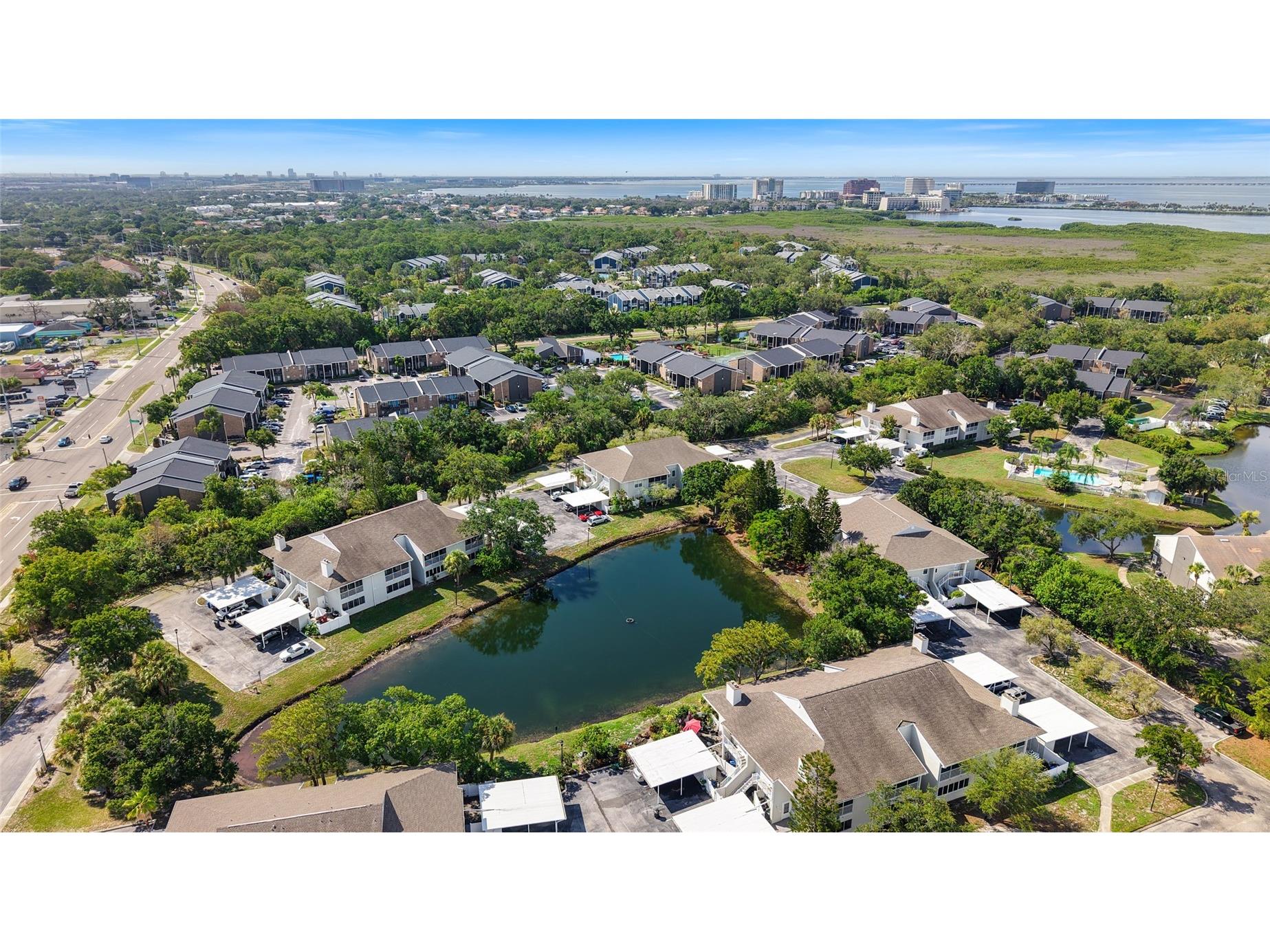 8350 Savannah Trace Circle #1703 Tampa FL 33615 TB8528850 image21