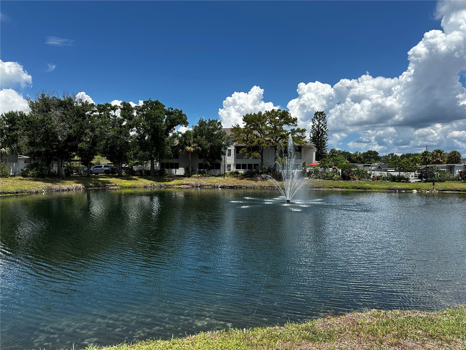 8350 Savannah Trace Circle #1703 Tampa FL 33615 TB8528850 image22