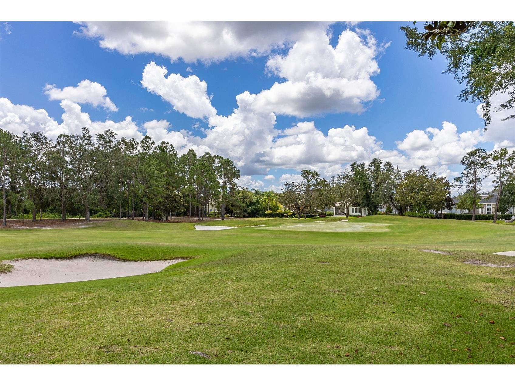 8351 Bowden Way Windermere FL 34786 O6393659 image53