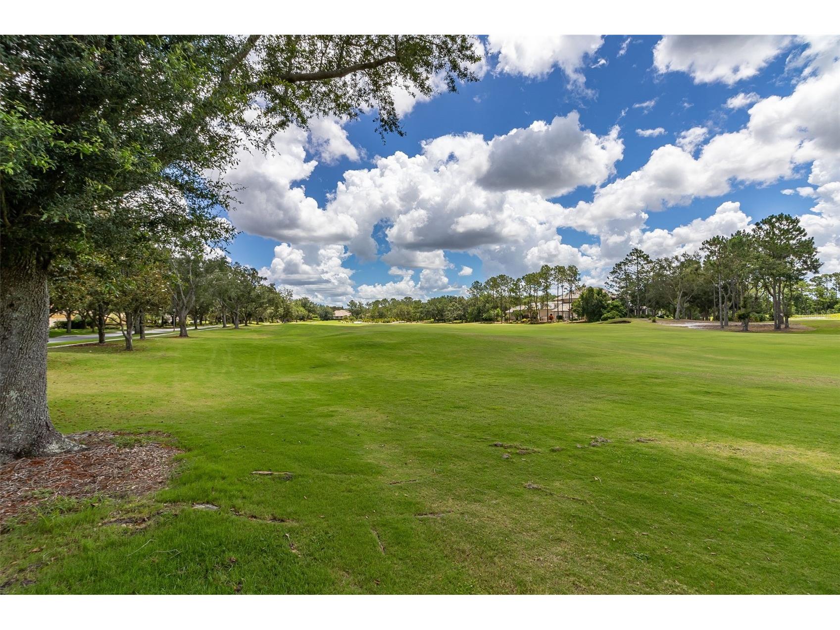 8351 Bowden Way Windermere FL 34786 O6393659 image54