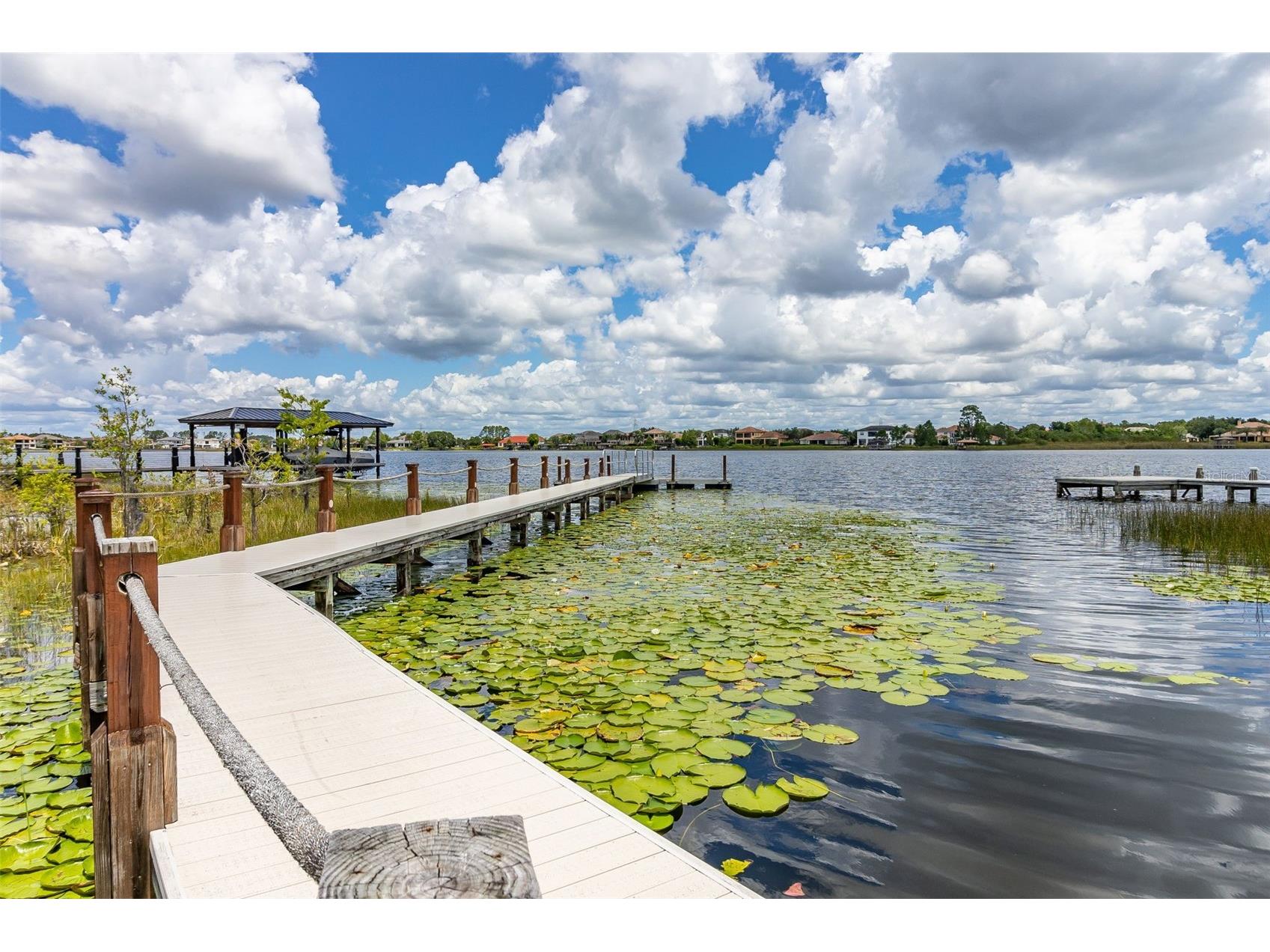 8351 Bowden Way Windermere FL 34786 O6393659 image56