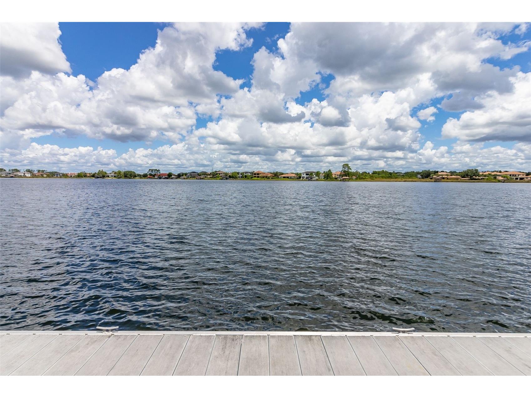 8351 Bowden Way Windermere FL 34786 O6393659 image57