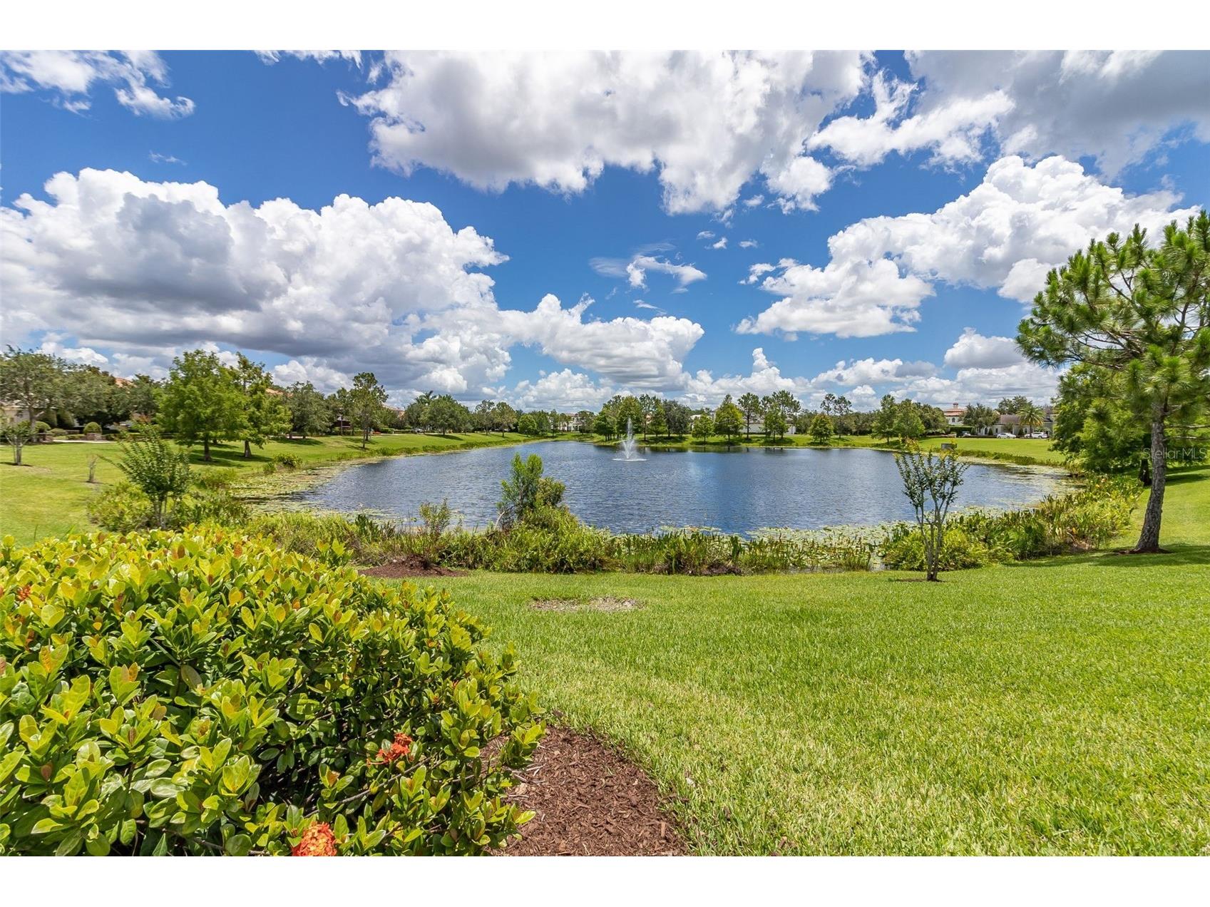 8351 Bowden Way Windermere FL 34786 O6393659 image58