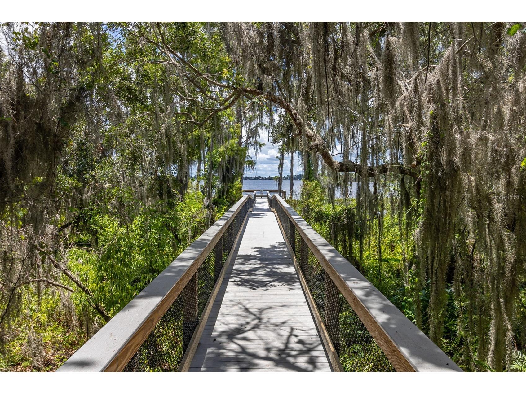 8351 Bowden Way Windermere FL 34786 O6393659 image62
