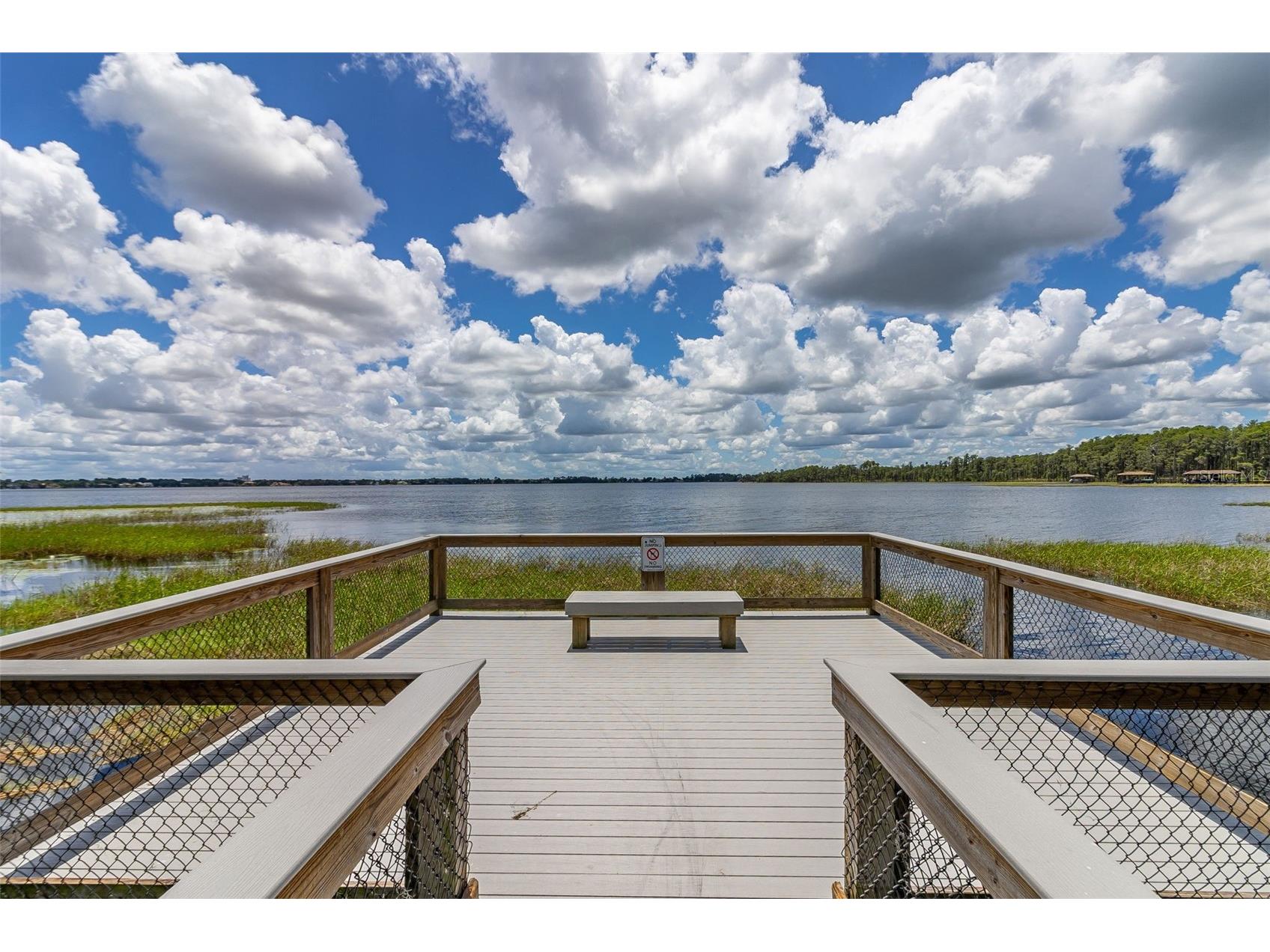 8351 Bowden Way Windermere FL 34786 O6393659 image63