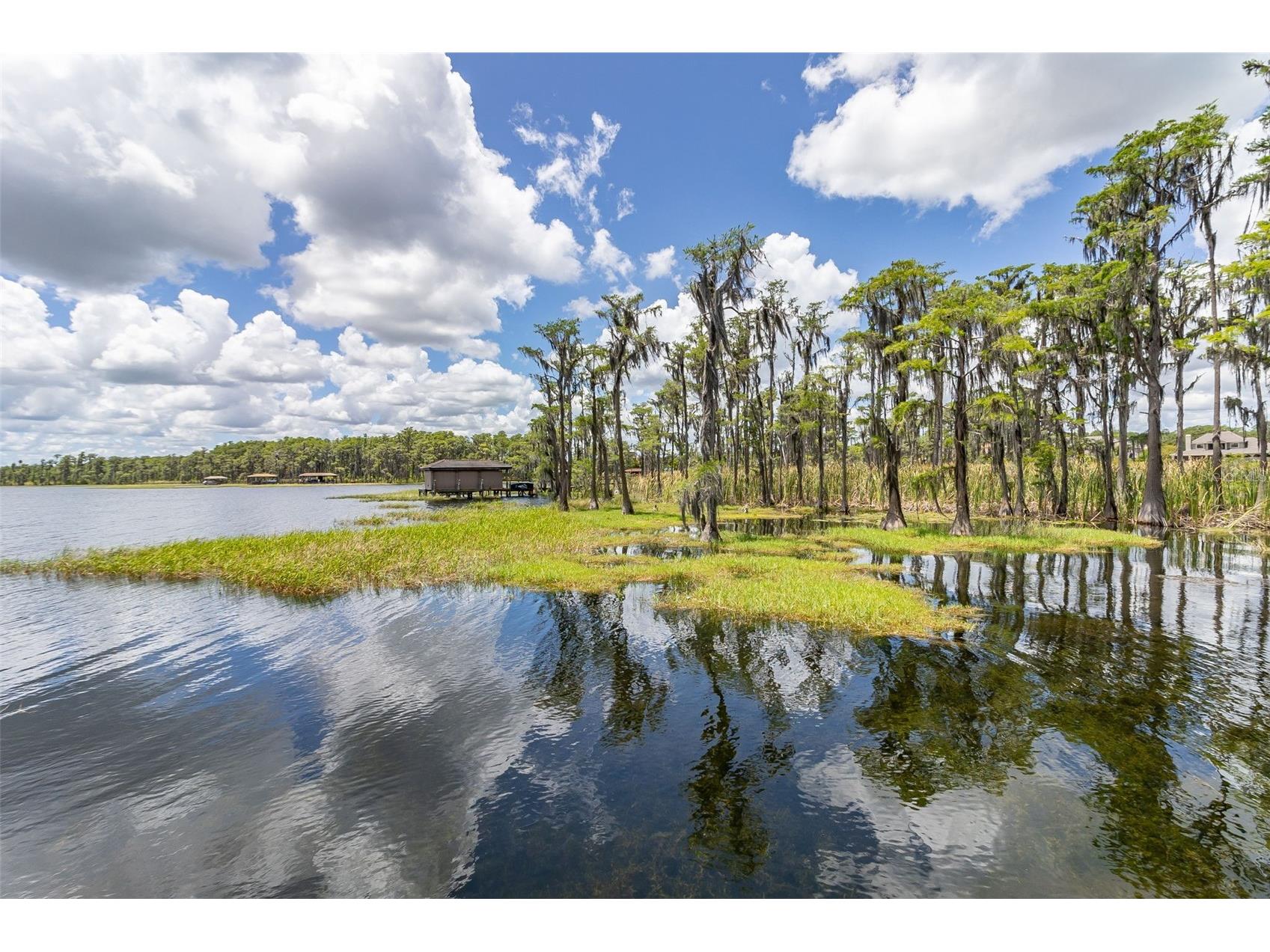 8351 Bowden Way Windermere FL 34786 O6393659 image65