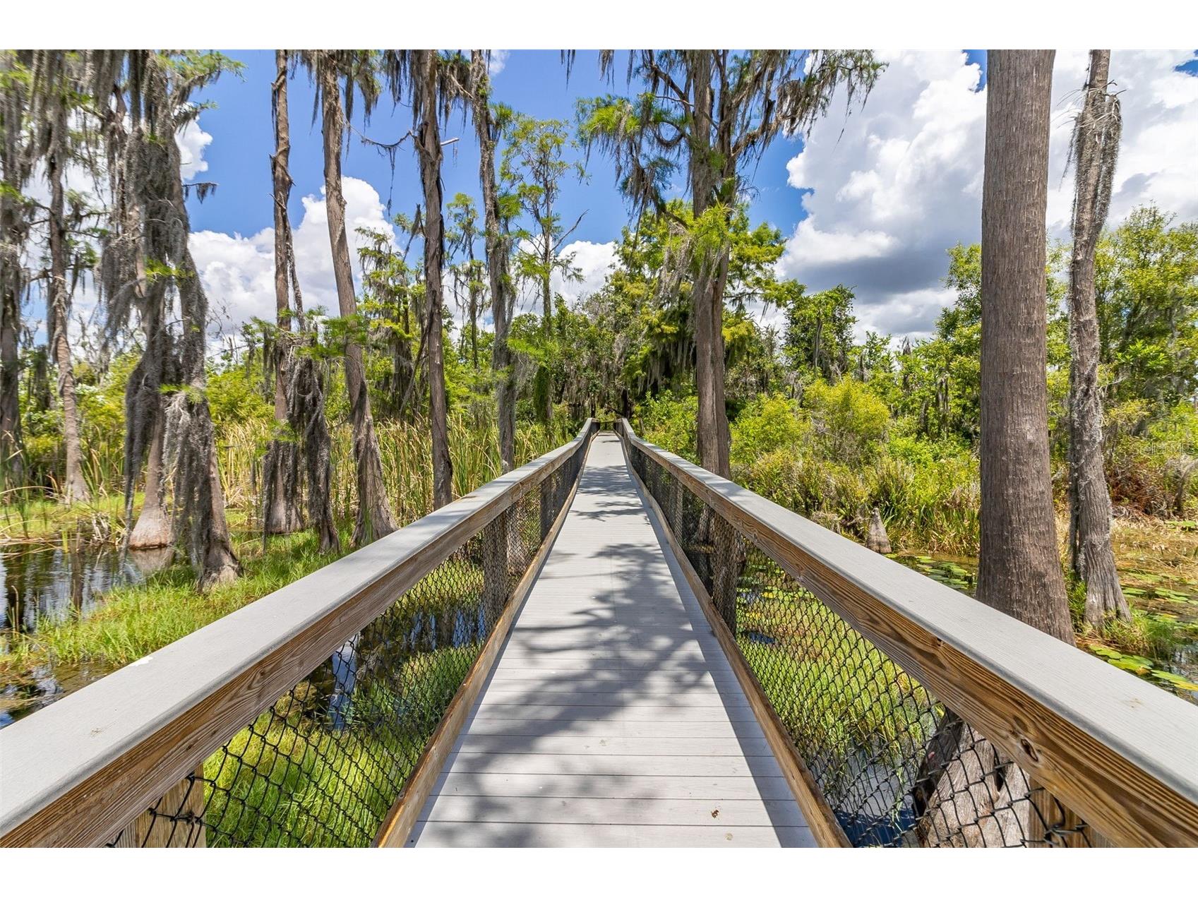 8351 Bowden Way Windermere FL 34786 O6393659 image66
