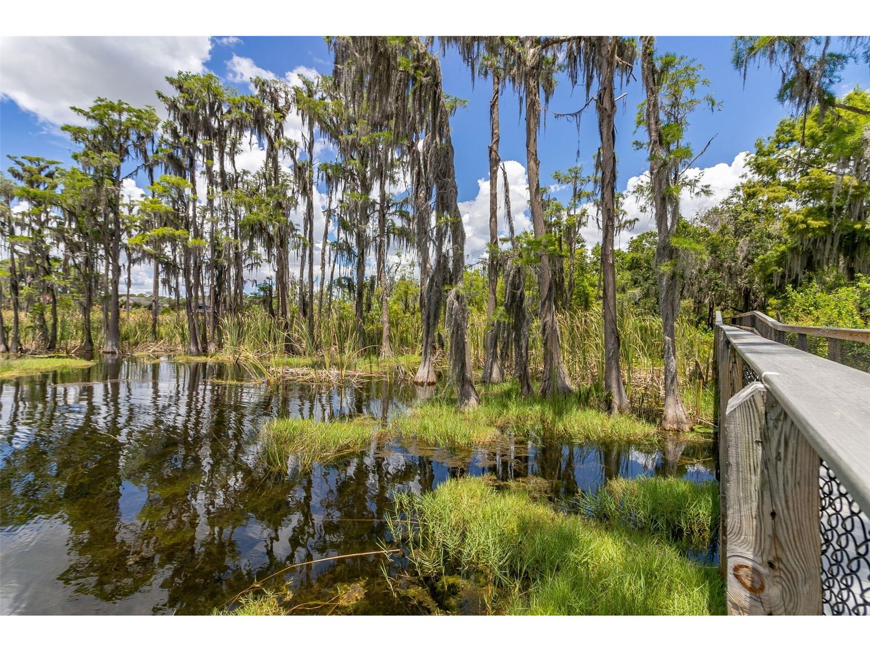 8351 Bowden Way Windermere FL 34786 O6393659 image67