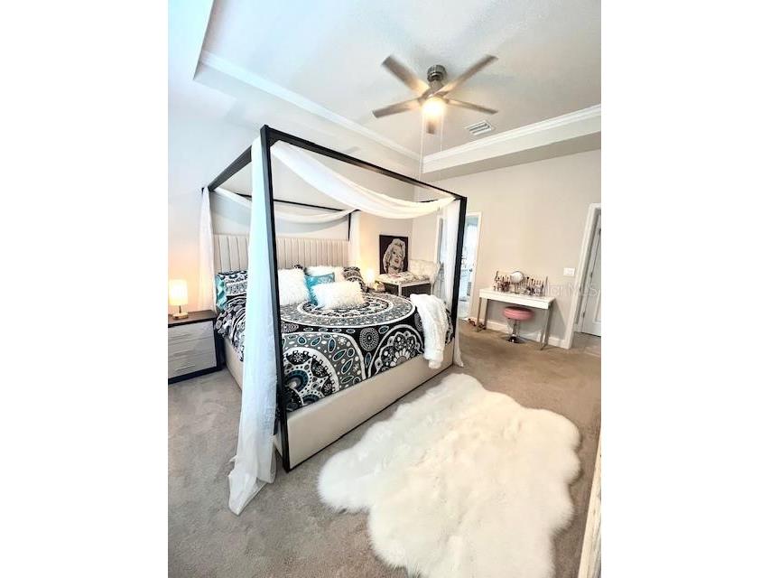 8351 Greenway Avenue Wesley Chapel FL 33544 TB8493834 image13