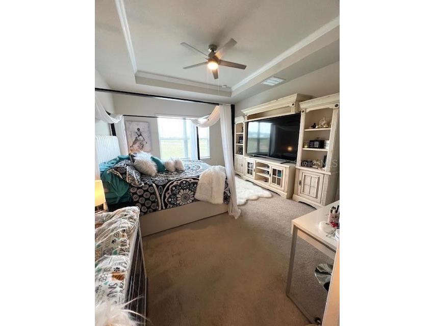 8351 Greenway Avenue Wesley Chapel FL 33544 TB8493834 image14