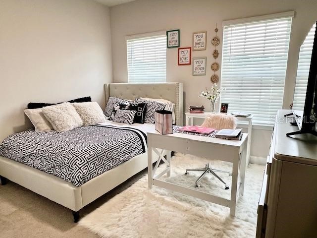 8351 Greenway Avenue Wesley Chapel FL 33544 TB8493834 image19