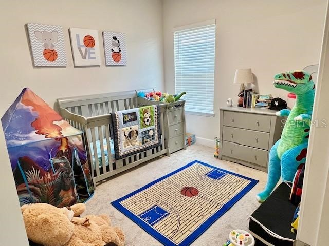 8351 Greenway Avenue Wesley Chapel FL 33544 TB8493834 image21