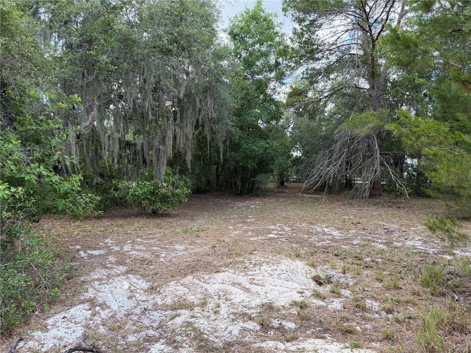 8351 Wakeford Road Lake Wales FL 33898 B4902247 image22