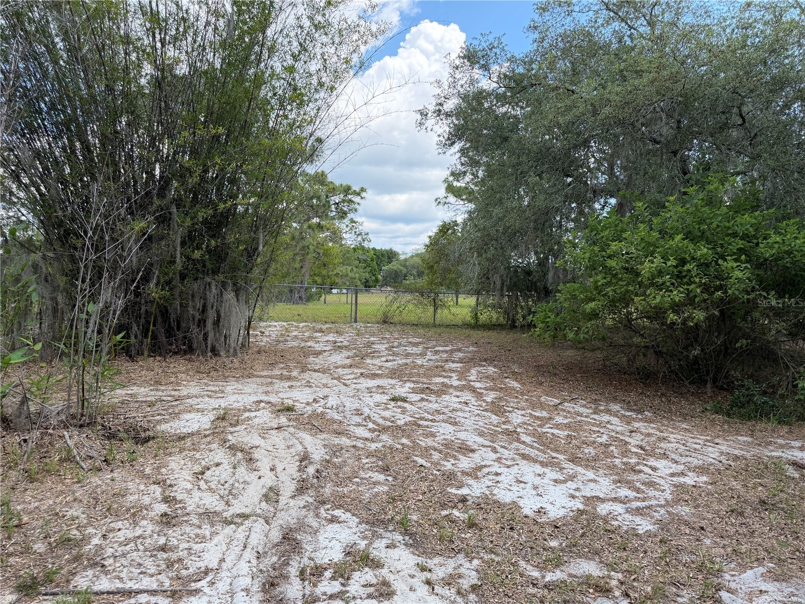 8351 Wakeford Road Lake Wales FL 33898 B4902247 image23