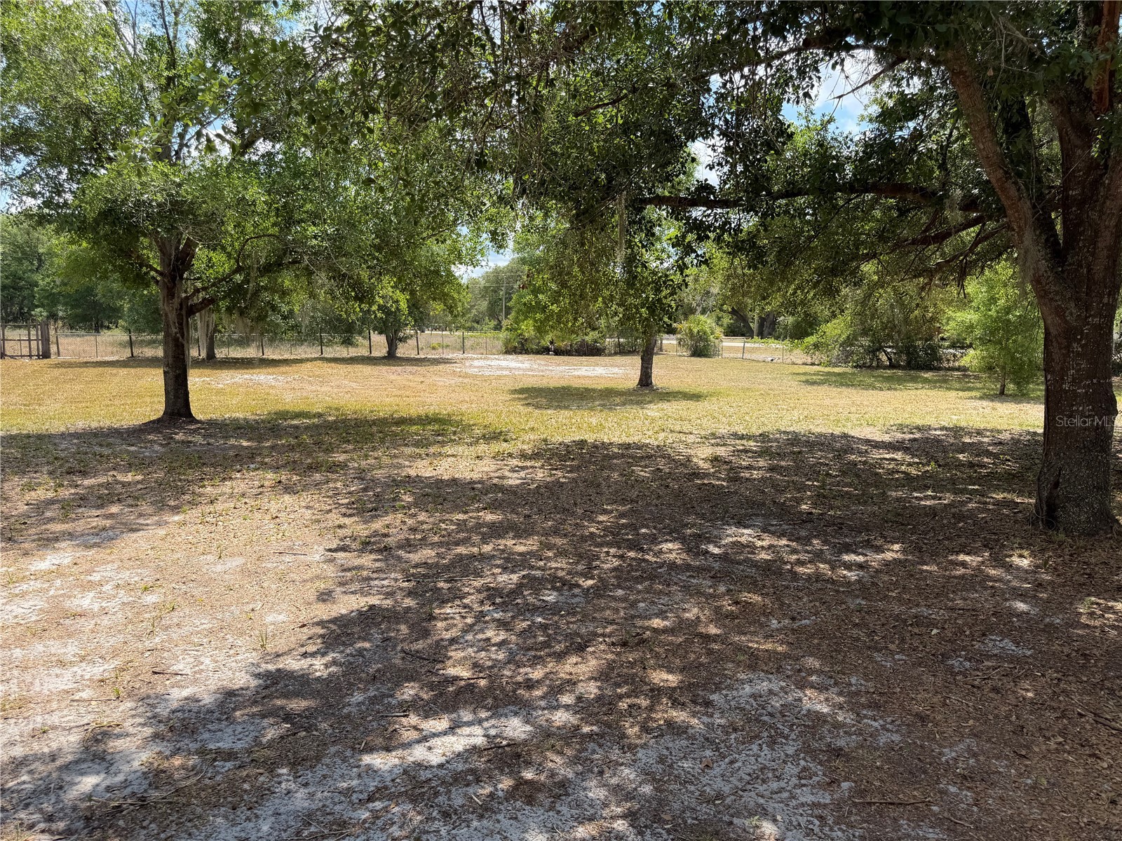 8351 Wakeford Road Lake Wales FL 33898 B4902247 image26