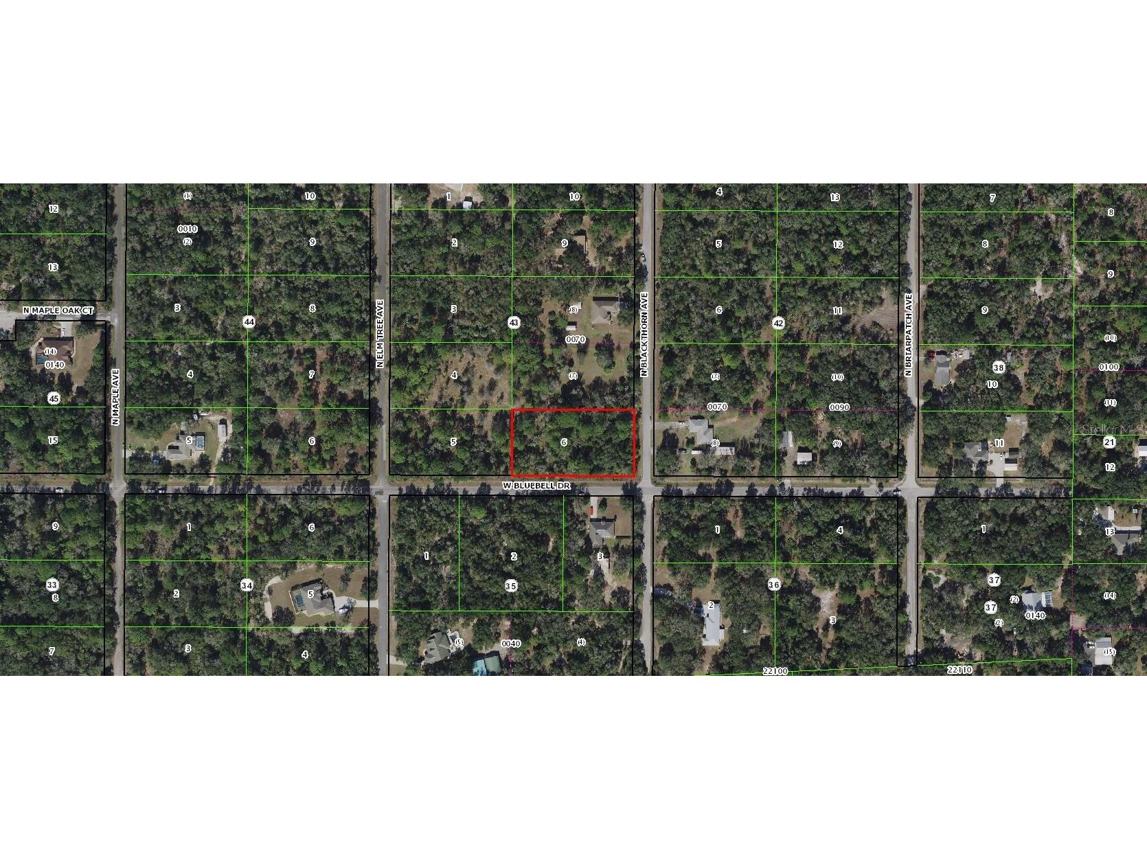 8352 N Blackthorn Avenue Crystal River FL 34428 W7874985 image1