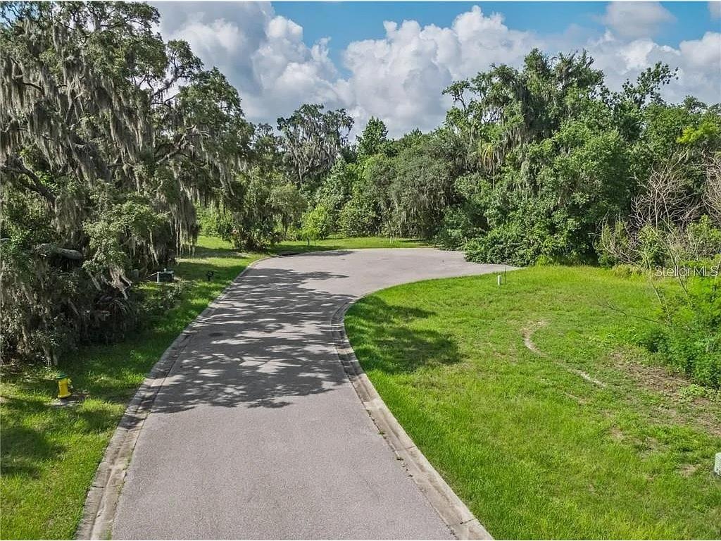 8353 Alafia Pointe Drive Riverview FL 33578 - ALAFIA RIVER TB8467615 image2