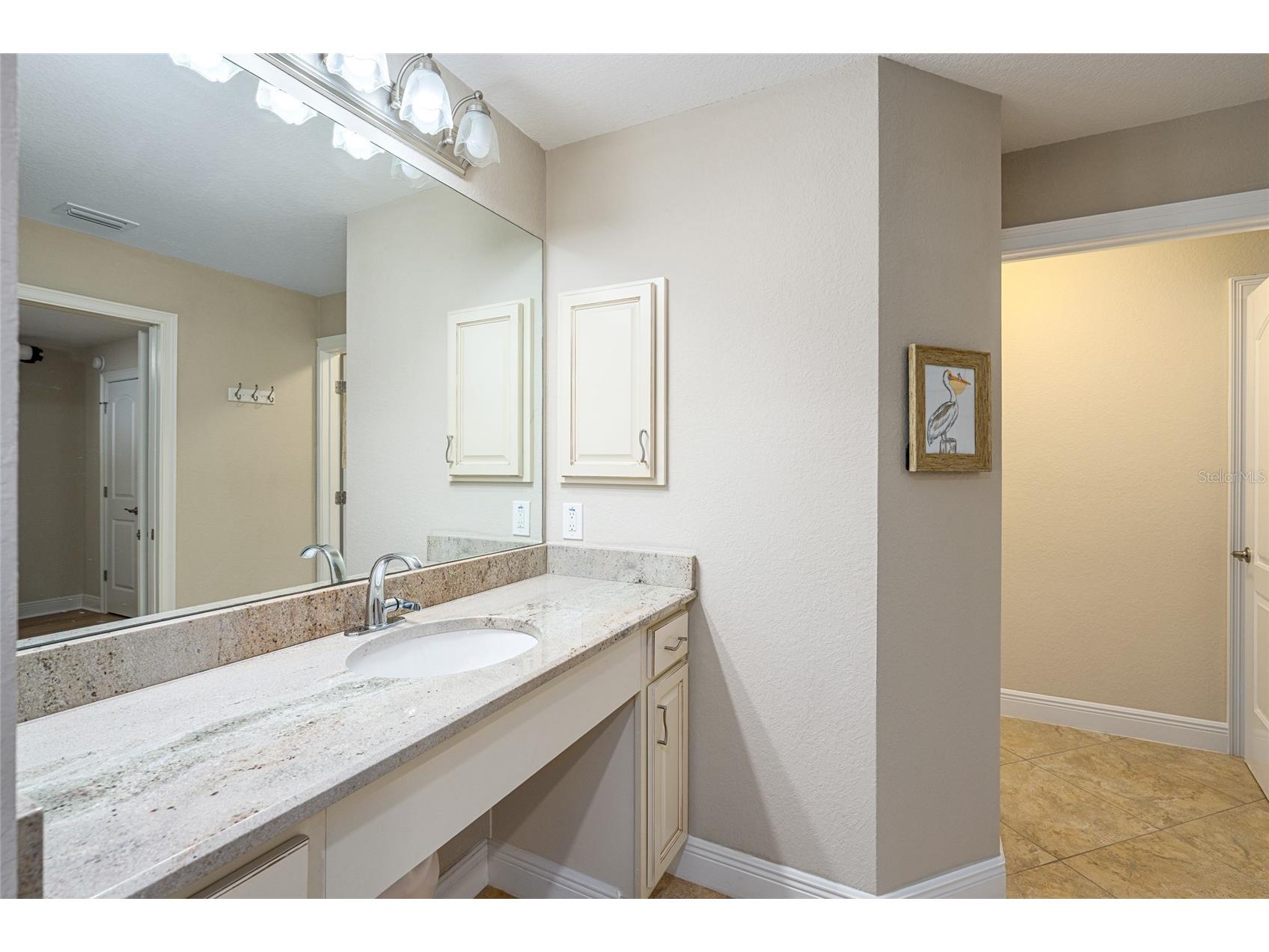 8353 SE 162nd Street Summerfield FL 34491 G5109257 image41