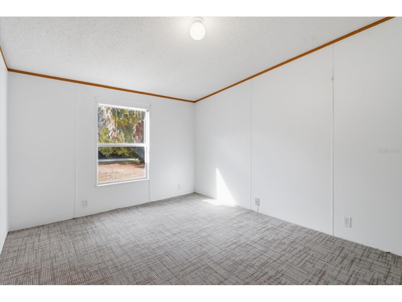 8353 W Kimberly Court Homosassa FL 34448 TB8484781 image20