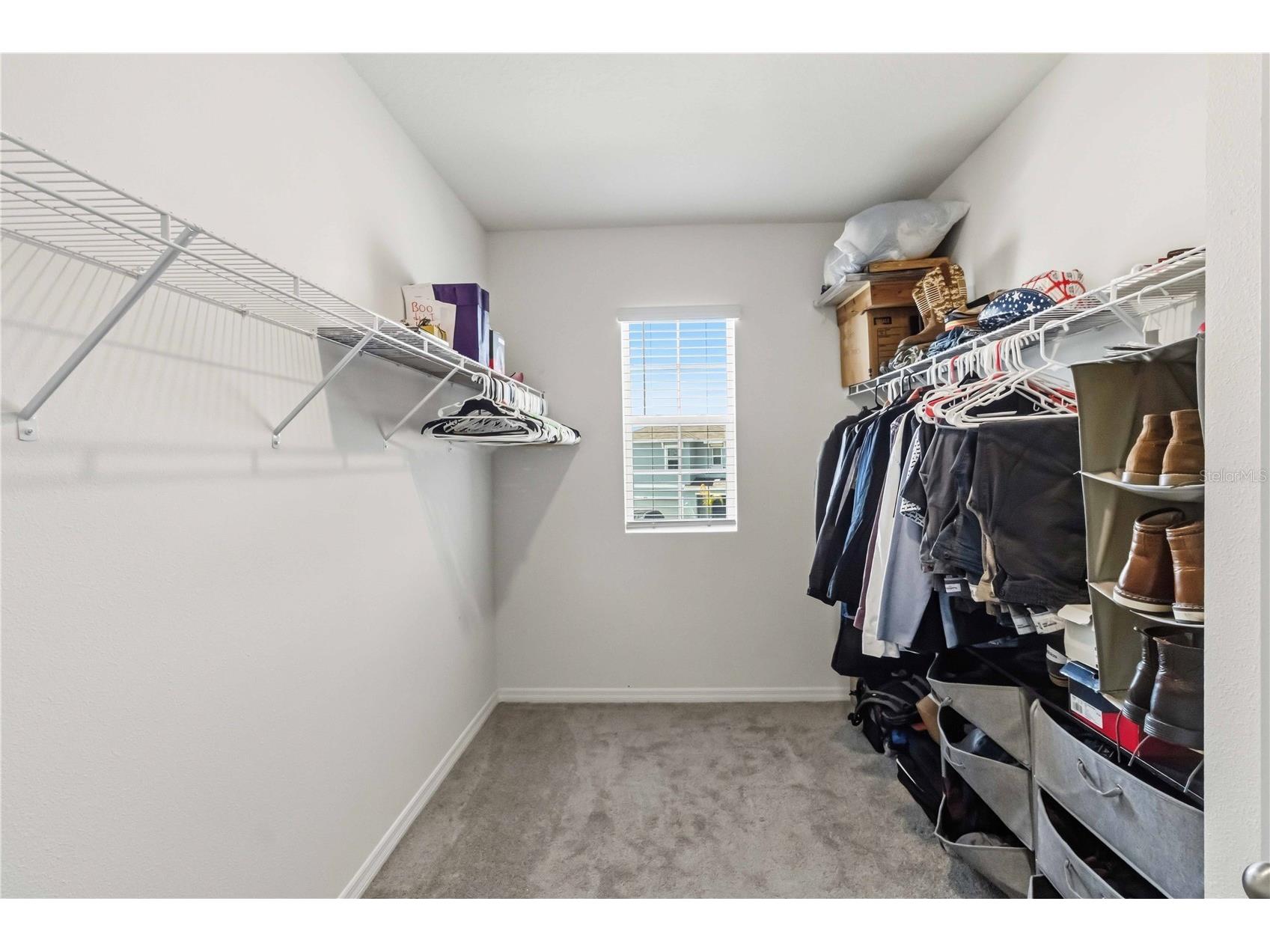 8354 Hardy Bay Loop Wesley Chapel FL 33545 TB8497334 image16