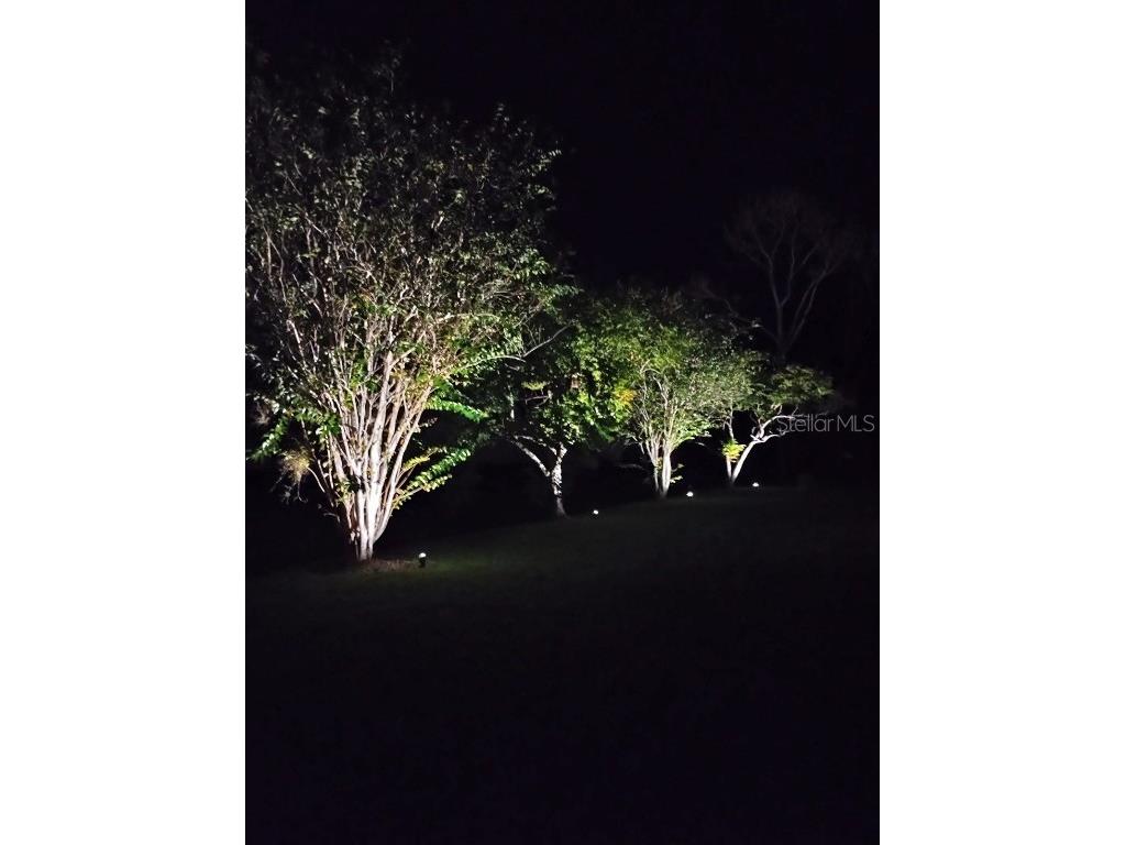 8354 SW Liverpool Road Arcadia FL 34269 C7504554 image37