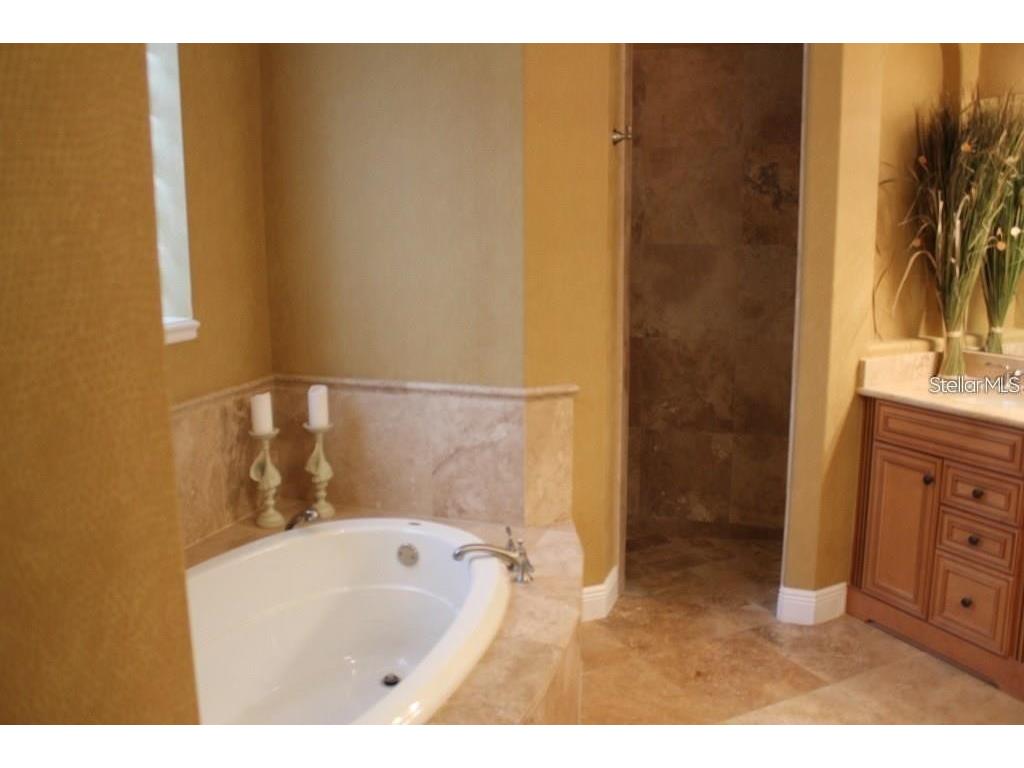 8354 Via Rosa Orlando FL 32836 O6392698 image12