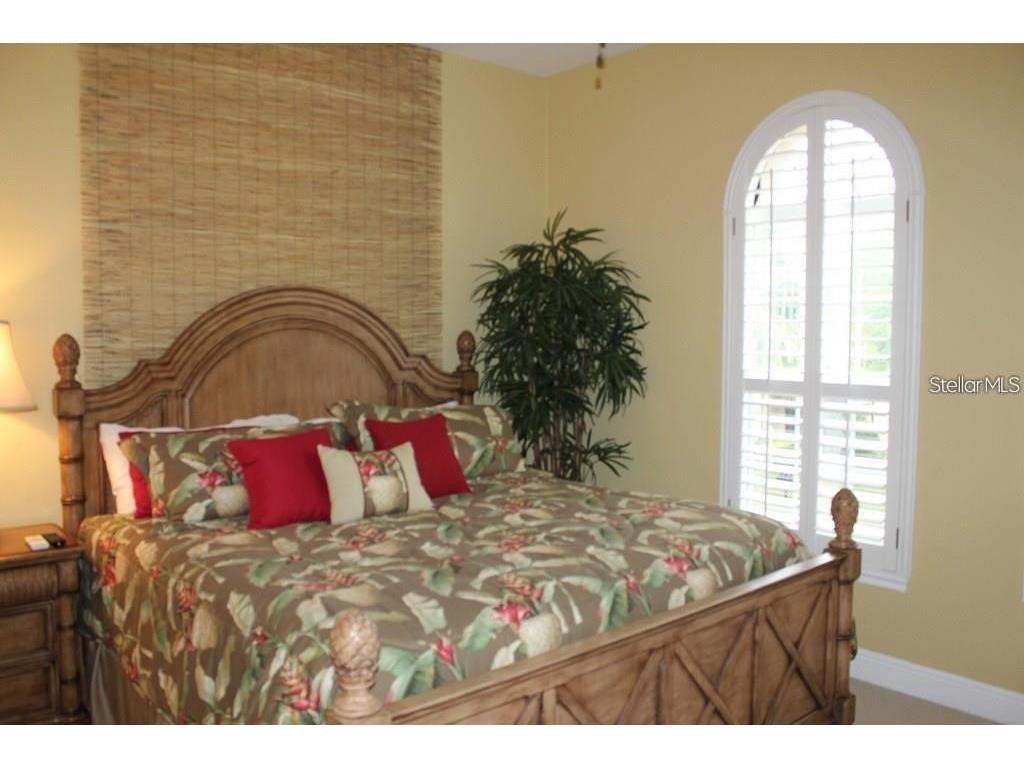 8354 Via Rosa Orlando FL 32836 O6392698 image13