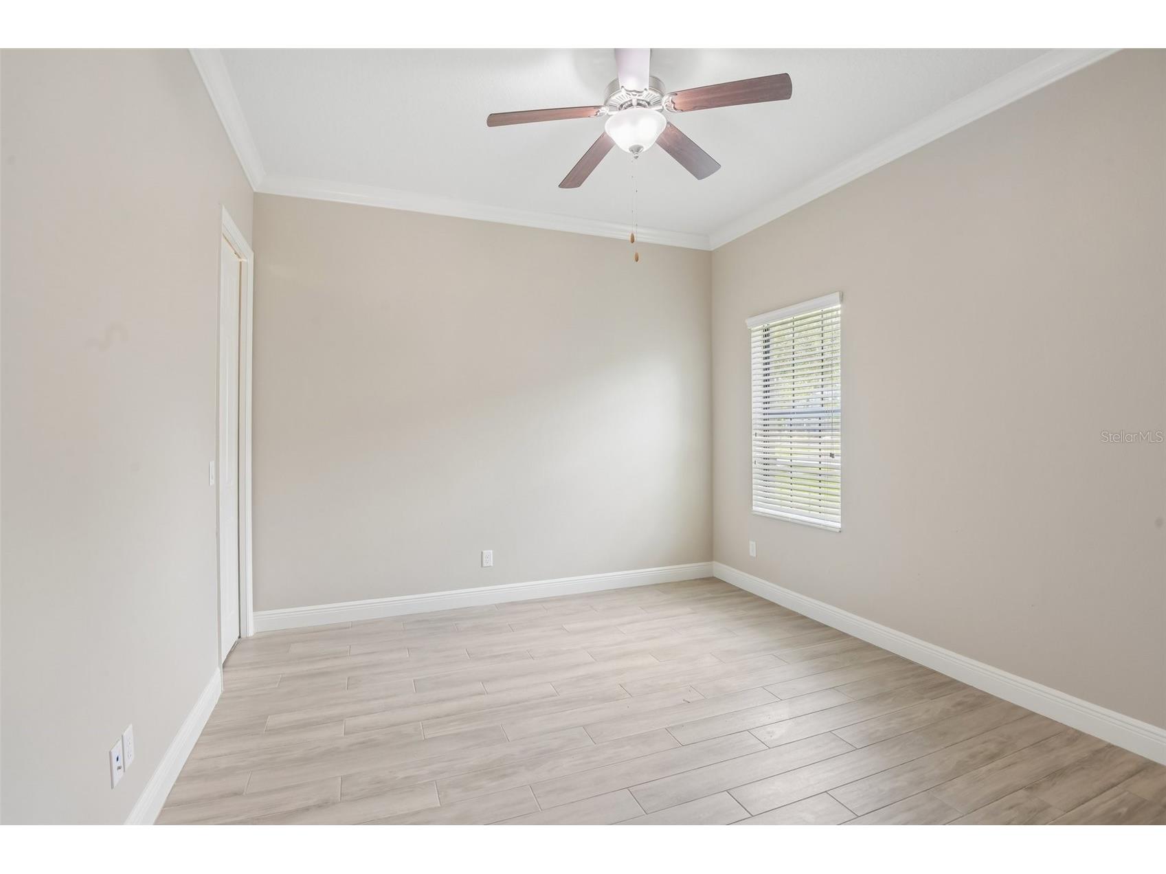8355 Swiss Chard Circle Land O Lakes FL 34637 TB8504214 image14